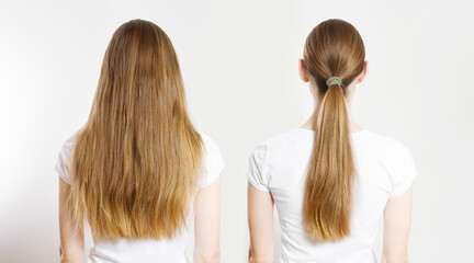 Closeup Ponytail, loose down Caucasian hair type back view isolated on white background. Straight long light brown healthy clean hairstyle. Shampoo concept. Different types of hairstyling. Copy space