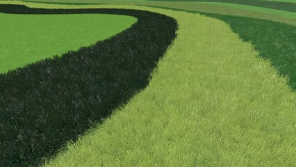 3D illustration of modern landscape architecture. Background computer rendering of landscape design. Contrasting composition of different lawn surfaces in smooth lines.