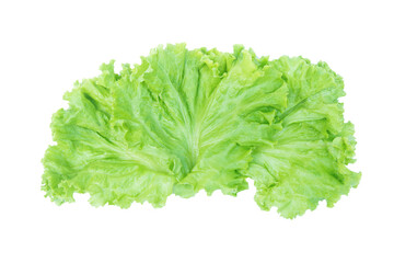 Lettuce