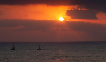 Sailboats go on the water surface during sunset. Seascape