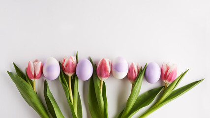 tulips and colored easter eggs in raw