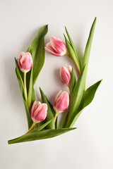 tulip spring wreath over white background