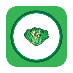 vegetable icon vector image with white background and green border