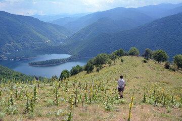 Fototapeta na wymiar A man walking on a hill on Chilingira trail on a hot summer day