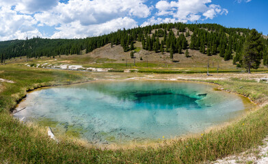 hotspring at Yellowstone