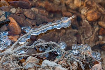 Frozen Twigs, Pennsylvania USA, Pennsylvania