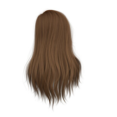 Fototapeta premium 3d rendering straight hair isolated brown brunette