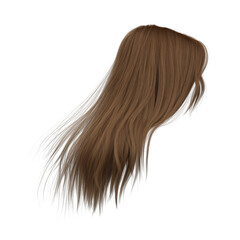 3d rendering straight hair isolated brown brunette