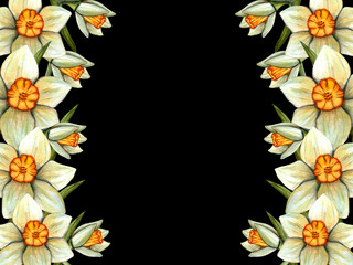 Watercolor frame easter with daffodil. Spring floral illustration isolated on black background.