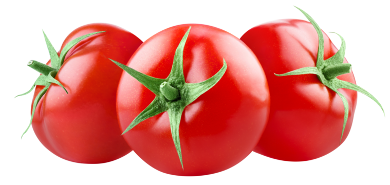 Delicious red tomatoes cut out