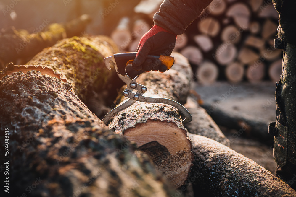 Wall mural a lumberjack equipment. hand lifting tongs. log tongs by firewood business. firewood tools.