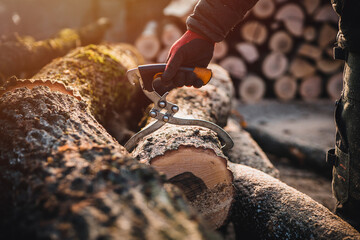 A lumberjack equipment. Hand lifting tongs. Log Tongs by firewood business. Firewood tools.
