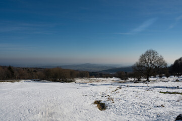 Winter landscape with lots of snow