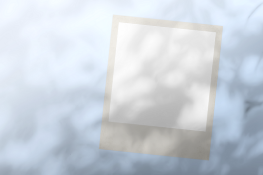 shadow tree with leaves on a polaroid photo card