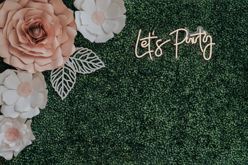 lets party photo background