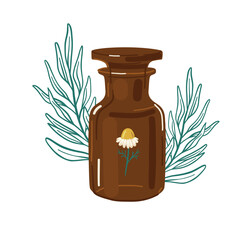 Vintage apothecary bottle vector illustration. Homeopathy and herbal medicine concept.  - 574061383