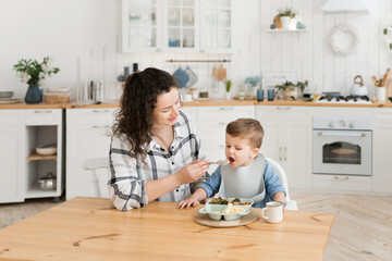 Young beautiful mother feeds her cute toddler son with healthy vegetables and a chicken cutlet in a bright cozy scandinavian style kitchen. Child's lunch. Mock up, copy space