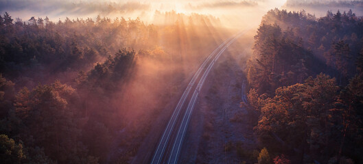 Fototapeta premium Enchanted Tracks: A Journey through the Mystical Forest