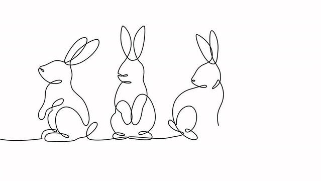 Continuous drawing line art of Easter rabbits. Hand drawn one line. 4k animation, stock footage