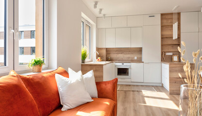 Cozy interior of living room and kitchen with white furniture and stove. Comfortable red sofa with...