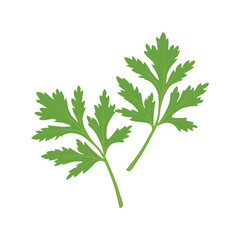 Cilantro Leaves vector flat graphic illustration, fully adjustable and scalable.  Isolated on a white background. For web, menu, logo, textile, icon. Vector illustration