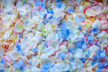 texture background of wedding confetti flowers