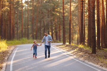 Dad and his little daughter are walking along a forest road among tall pines. Family walk in the...