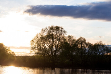 Soft natural background with a view of the river and trees on the shore