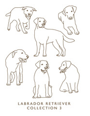 Labrador Retriever Outline Illustrations in Various Poses 3