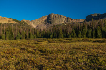Obraz premium Snowdon Peak at sunset with clear skies and golden meadow