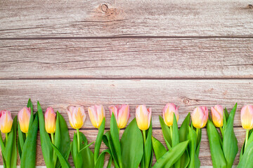 Pink and yellow Tulips Flowers on wooden table for March 8, International Womens Day, Birthday , Valentines Day or Mothers day. Copy space. Bouquet of tulips. Wooden background with copy space.