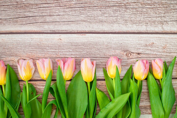 Womens day.Pink tulips on a wooden background with a place for text. International Women's Day, March 8, Mother's Day, Valentine's Day. Copy space. Pink tulips background.