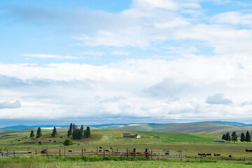 Fototapeta na wymiar Rural Farm out in Green Hills of Wallowa in Eastern Oregon on Sunny Day