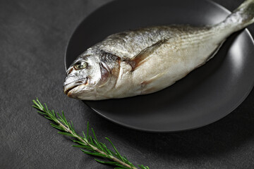 Dorado golden spear and branch of green rosemary, raw fresh uncooked fish source of omega 3, on dark background, side view, selective focus