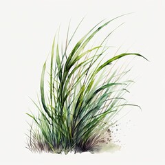 Obraz premium Grass watercolor generative AI