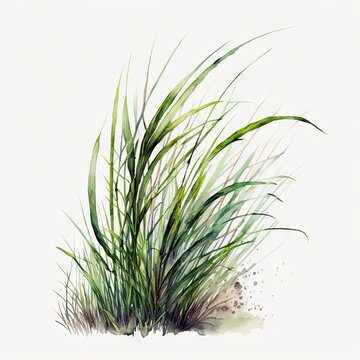 Grass watercolor generative AI