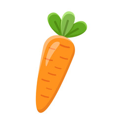 Carrot Vegetable Healthy Food Vector Illustration