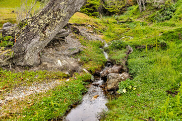 Lush greenery and waterways in Tierra del Fuego National Park along the in the Beagle Channel,...