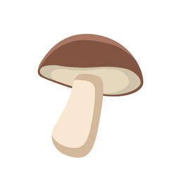Mushroom Vegetable Healthy Food Vector Illustration