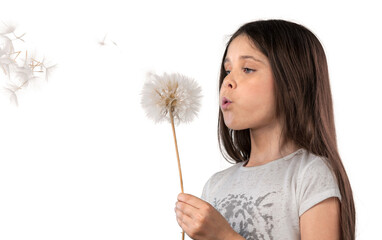 Cute Little Girl blowing dandelion on white background