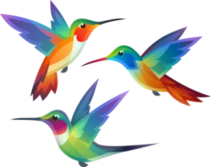 Fotobehang Kolibrie Stylized Birds - Hummingbirds in flight