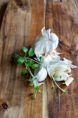 Knoblauch Knolle auf Holz angerichtet 