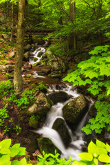 Wigwam Falls on the Blue Ridge Parkway in Virginia © David Souza