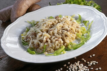 barley risotto with sausage, chives and parmesan cheese