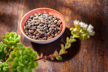 Castor grains and oil on the table, close-up image