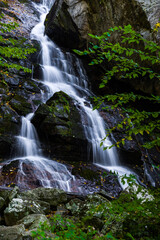 Fototapeta premium Apple Orchard Falls in Virginia
