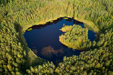 Aerial view of a picturesque lake in the depths of a green forest
