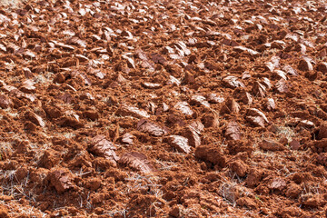 Tierra roja de cultivo recién labrada en el campo