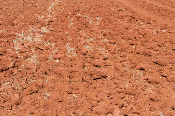 Tierra roja de cultivo recién labrada en el campo