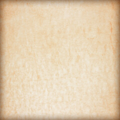 Old Paper texture. vintage paper background or texture; brown paper texture